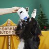 Bark Plush Hairstream Trailer Dog Toy 706569